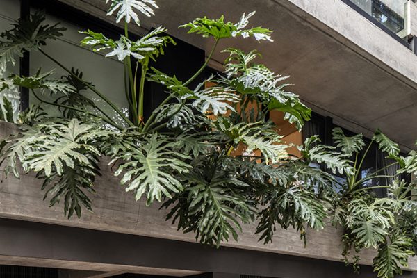 Edificio SOLER - DIPA Arquitectos - CARPEAL Building