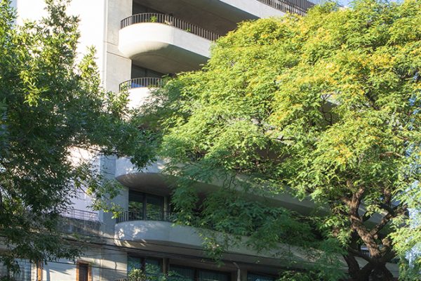 DONNA VITA - Estudio AZCUY - CARPEAL Building